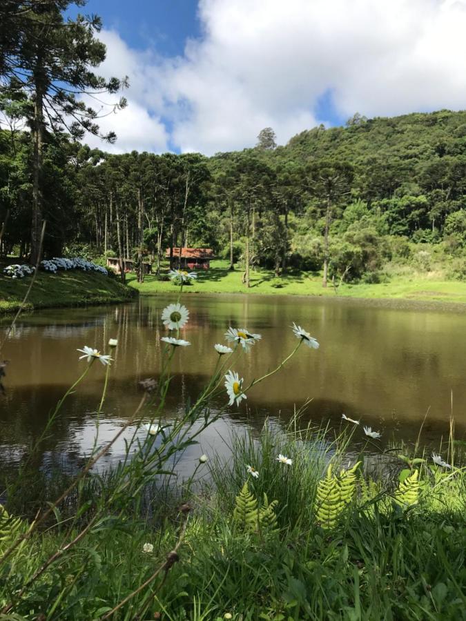 Green Mountains Hotel Monte Verde  Esterno foto