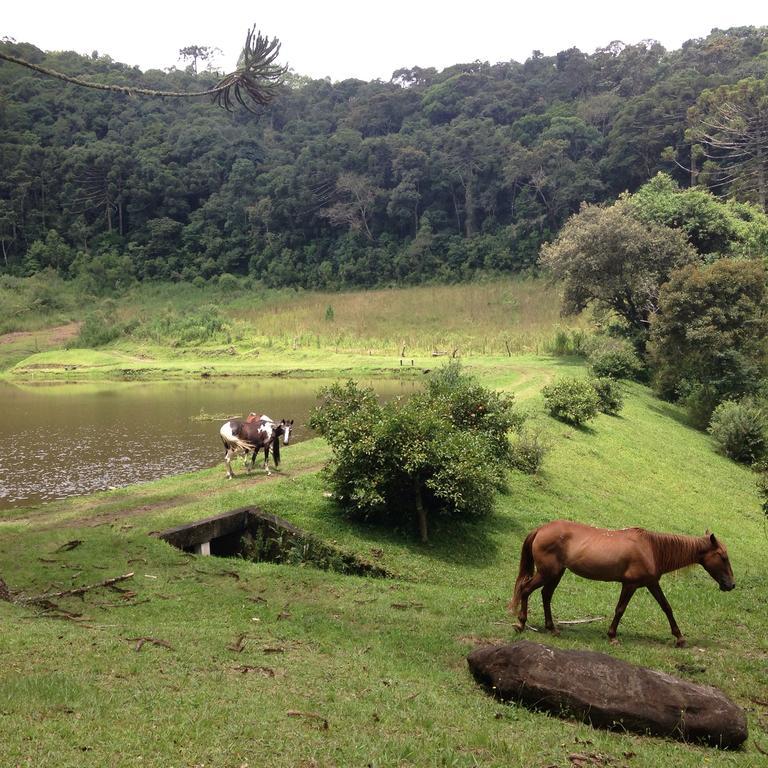Green Mountains Hotel Monte Verde  Esterno foto