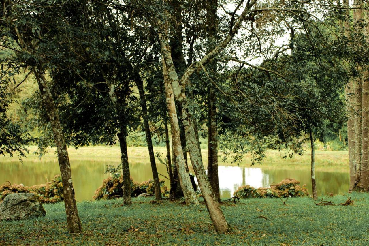 Green Mountains Hotel Monte Verde  Esterno foto