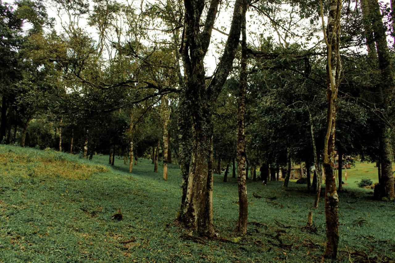 Green Mountains Hotel Monte Verde  Esterno foto